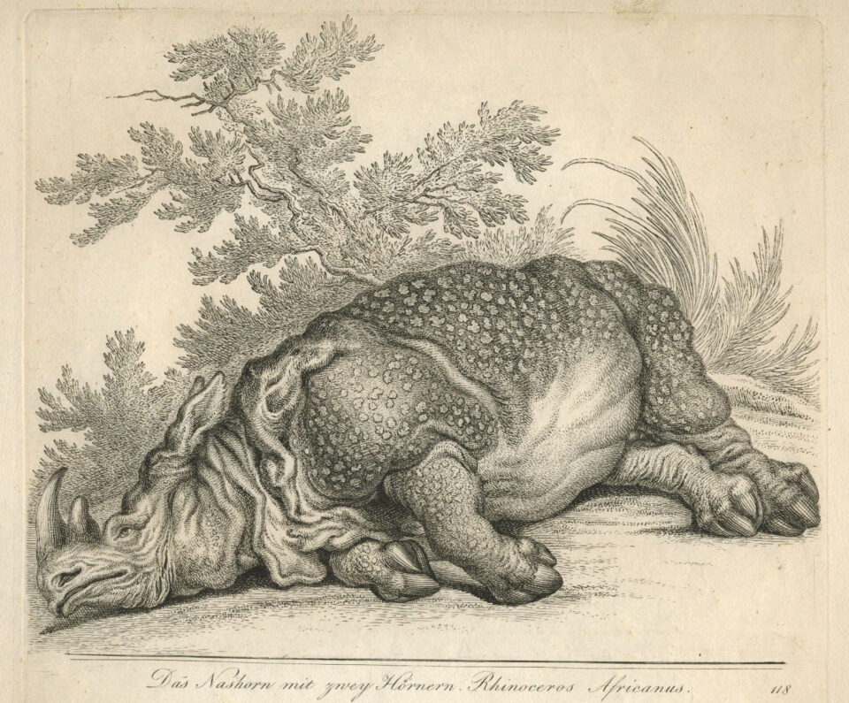 Ridinger-Thier-reich-2nd edition