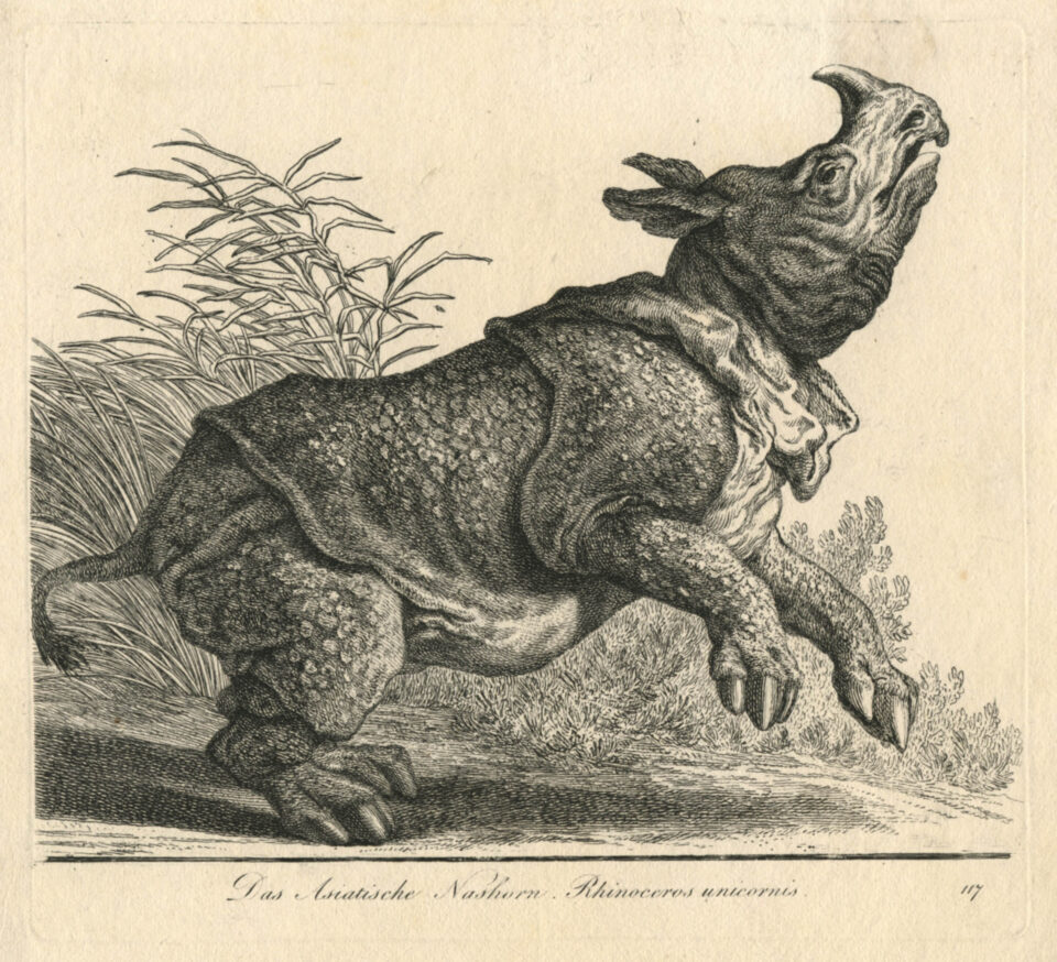 Ridinger-Thier-reich-2nd edition