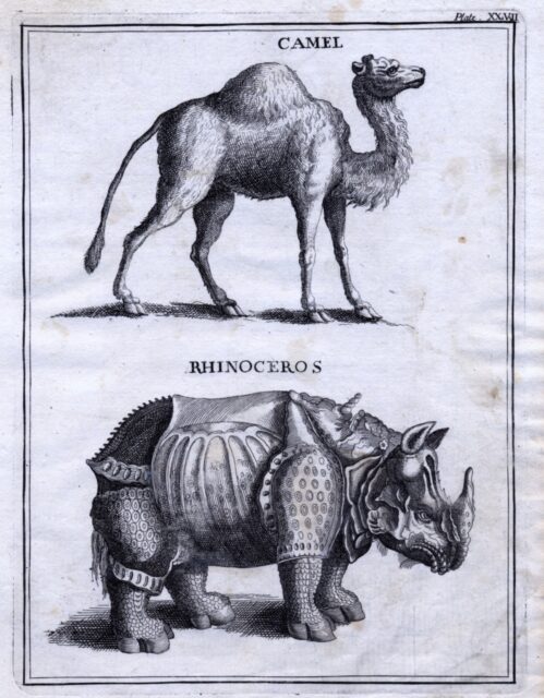 Father Bernard Lamy-2nd edition