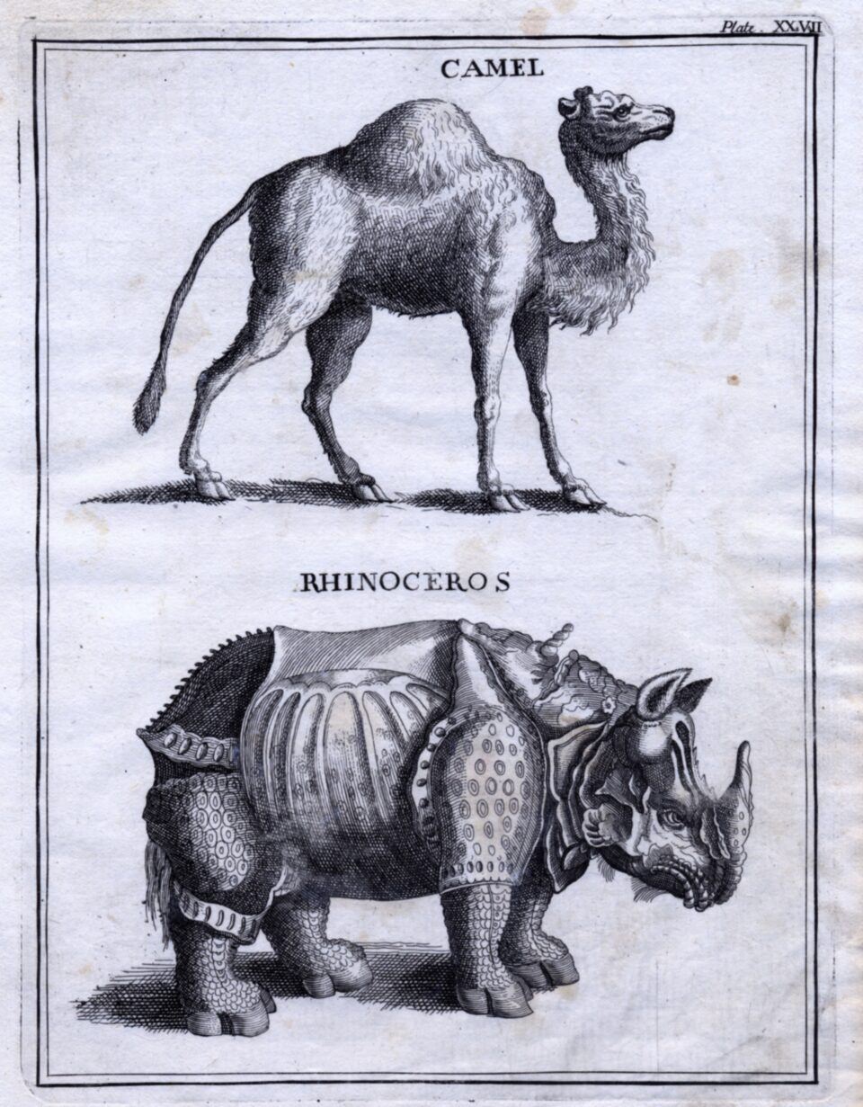 Father Bernard Lamy-2nd edition