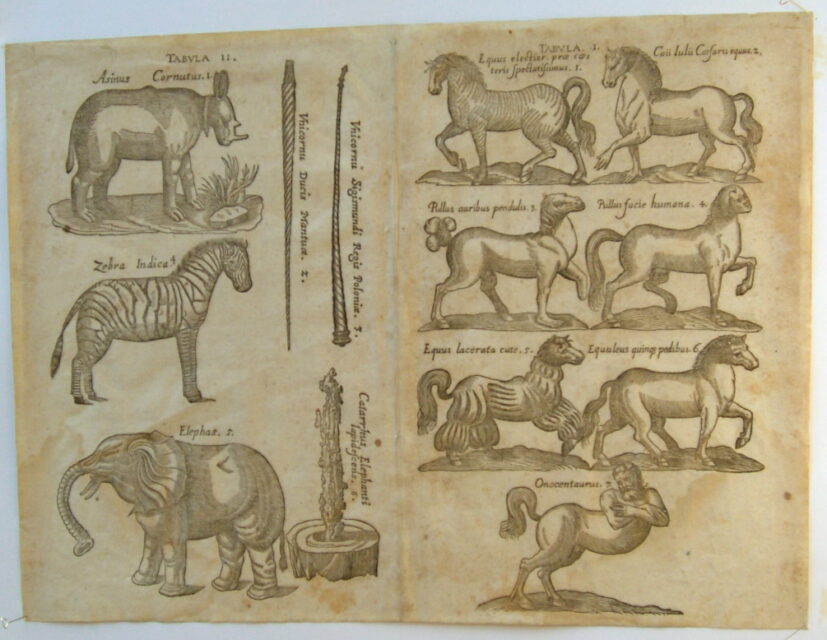 Ulisse Aldrovandi