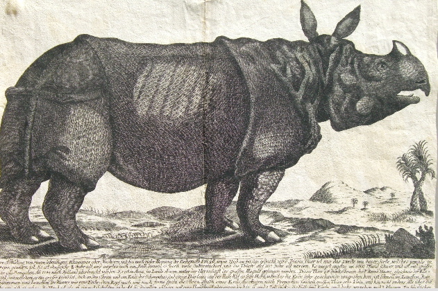 a well traveled plate of Clara