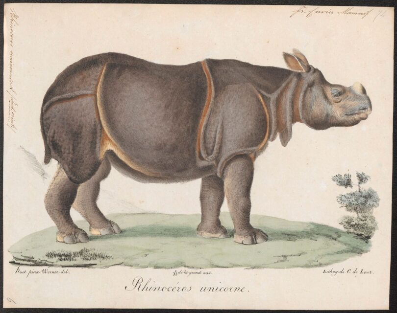 Cuvier & Geoffroy Saint-Hilaire 1820