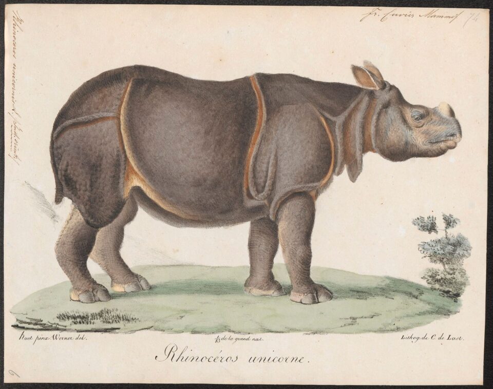 Cuvier & Geoffroy Saint-Hilaire 1820