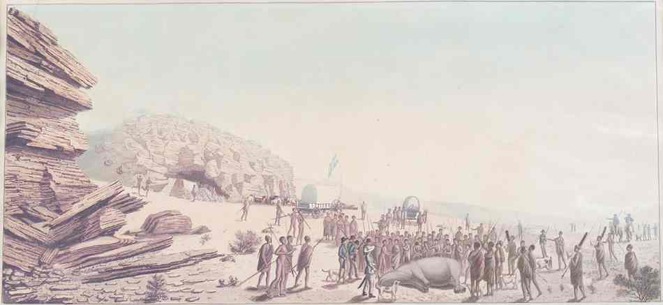 Burchell’s rhino hunt