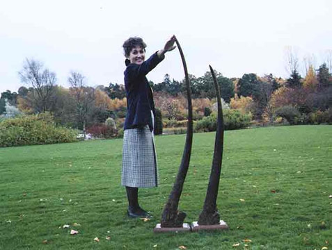 Gordon Cumming trophies