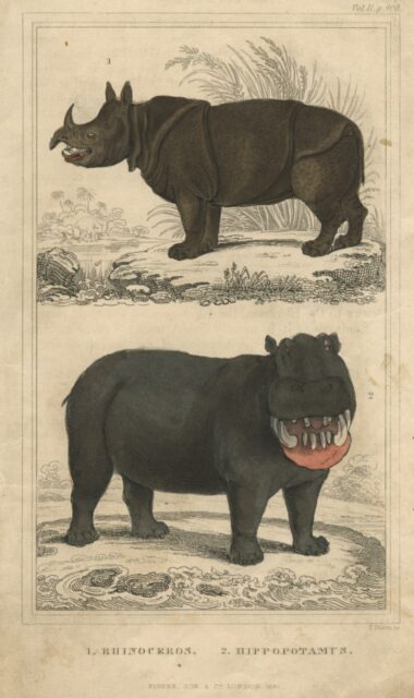 Goldsmith late edition