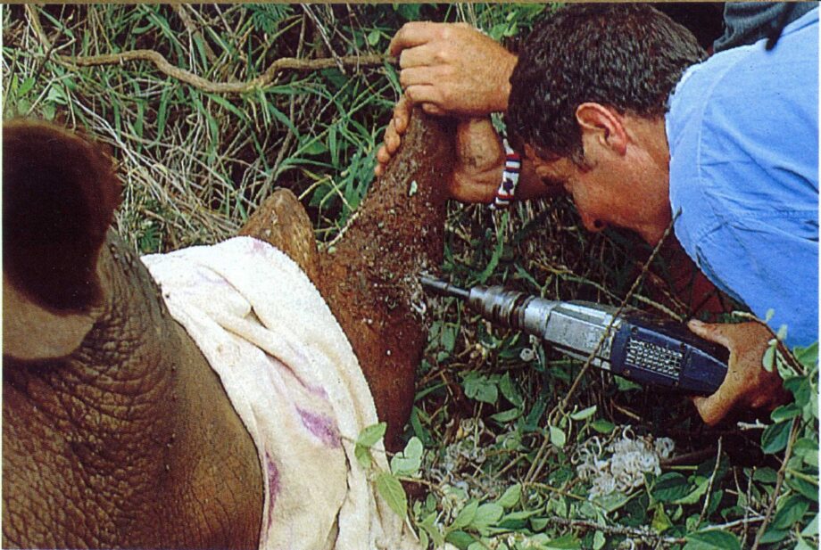 Transmitter insertion