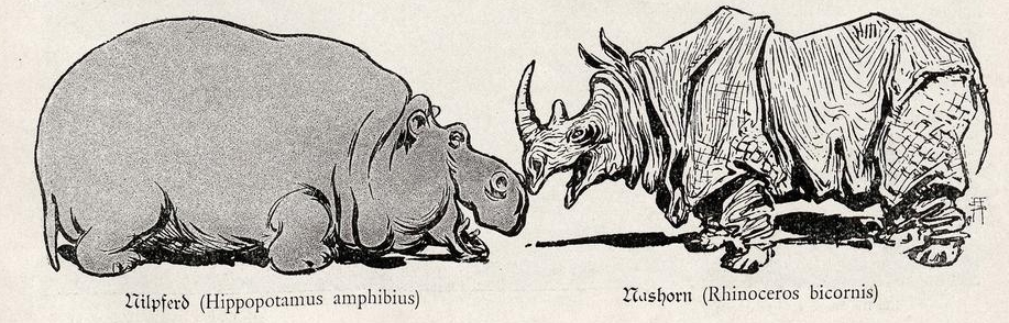 Jugend Wochenschrift