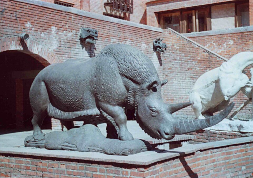 Coelodonta in Moscow