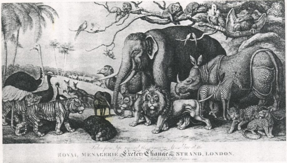 Exeter Change Menagery