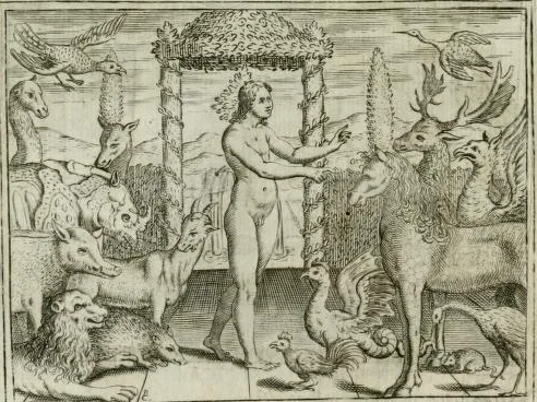 Andreini 1617