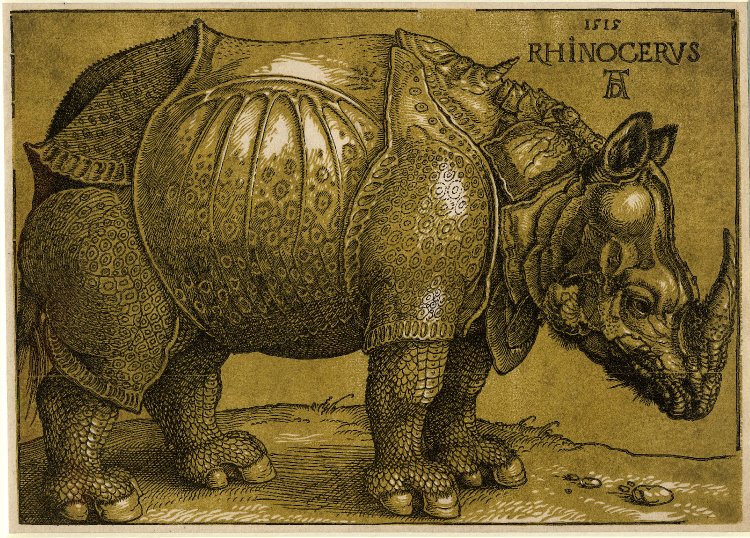 Dürer chiarosuro print