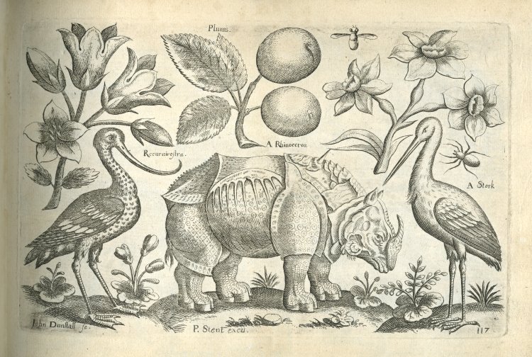 English pattern book