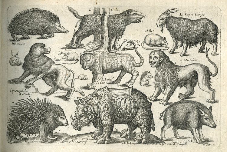 Book of Four Footed Beasts