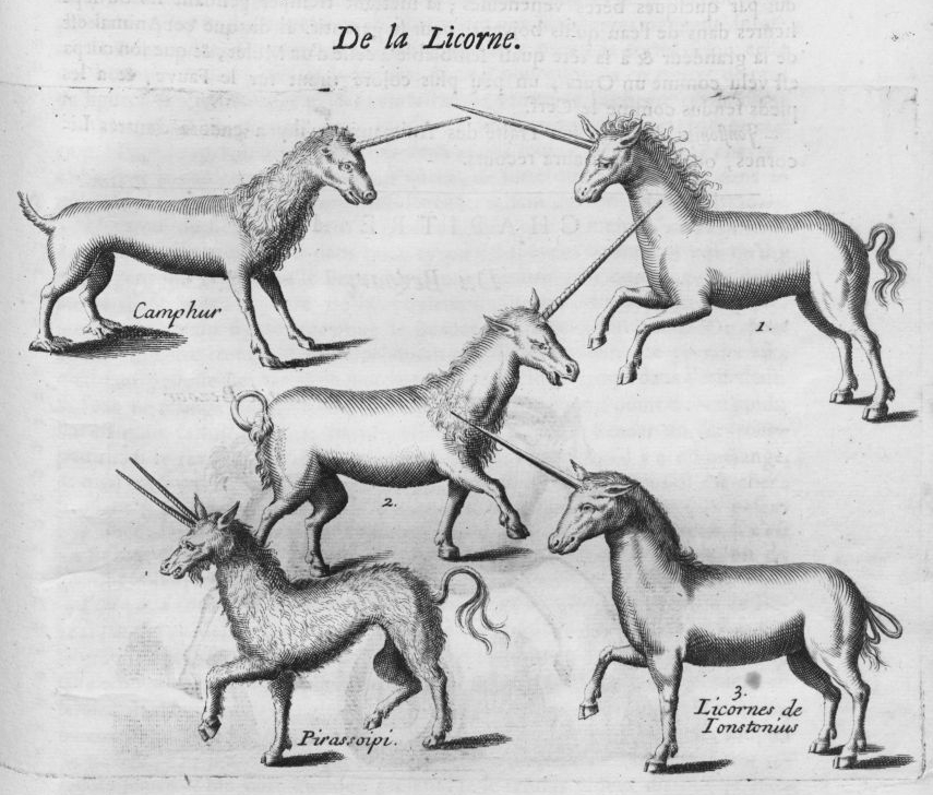 Licorne 1694