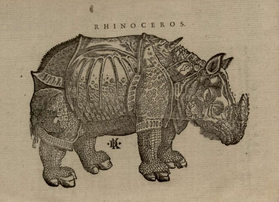 Trogus 1588