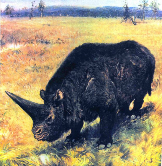 Elasmotherium