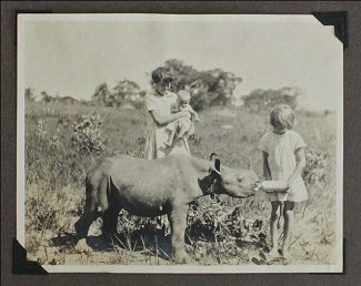 Southern African Automobile Safari