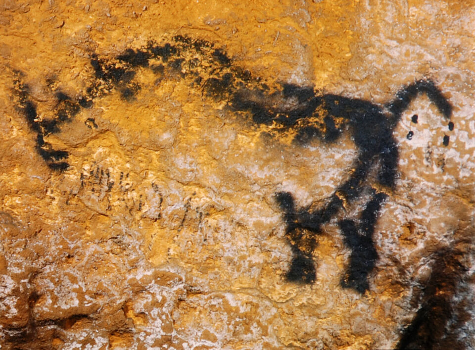 Lascaux cave