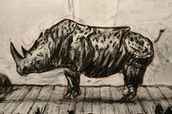 Kentridge Rhino