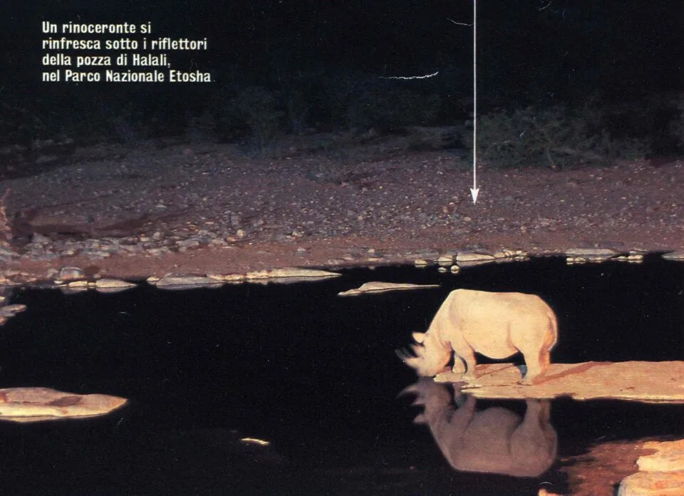 Etosha 2003