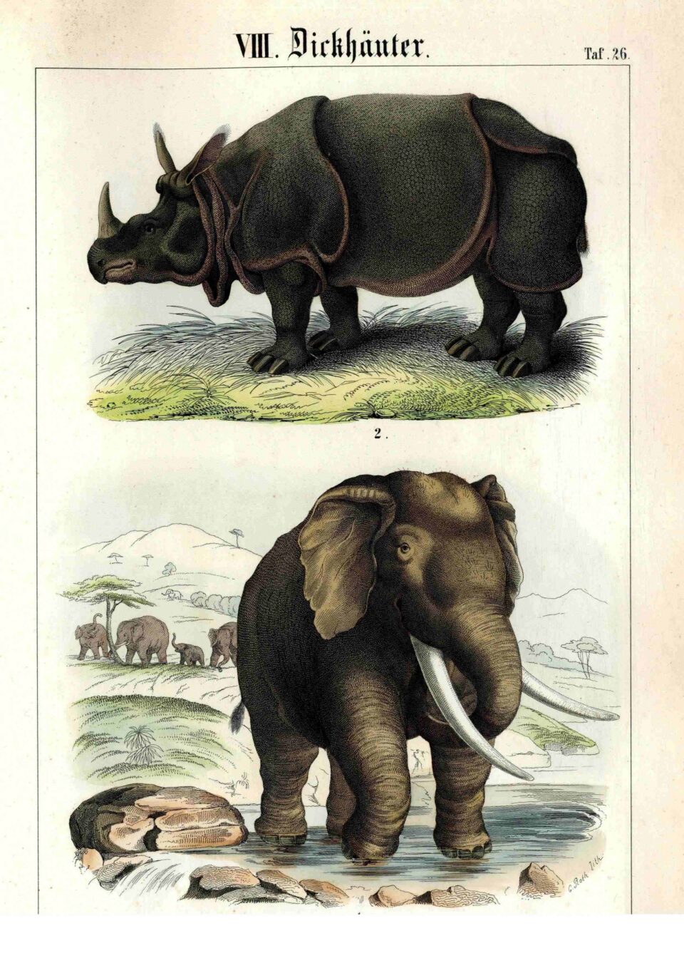 Krauss 1851 plate