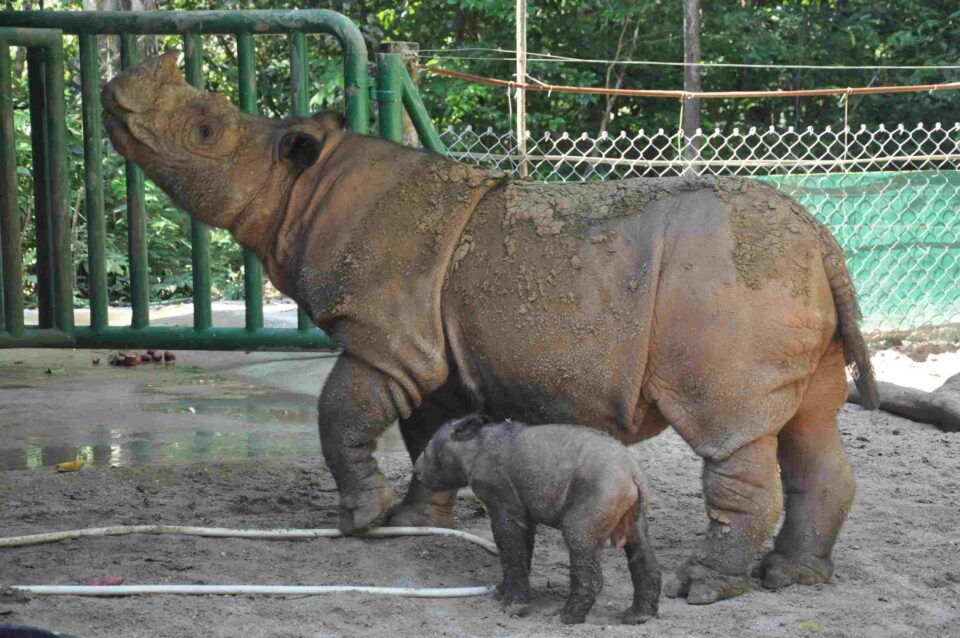 Andatu June 2012 with Ratu