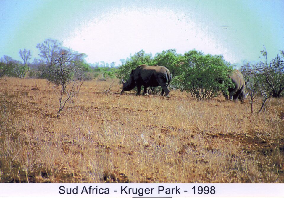 Kruger National Park