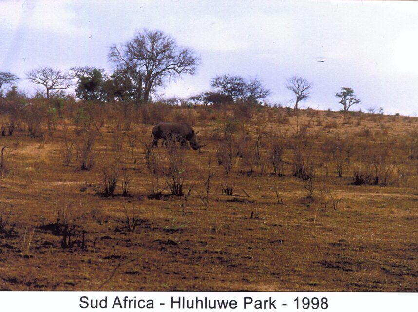Hluhluwe National Park