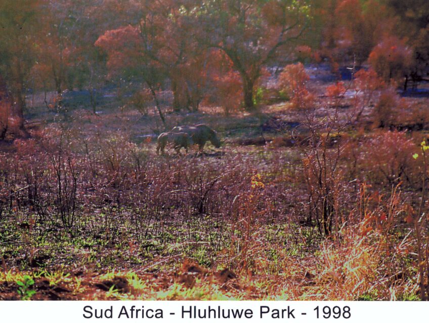 Hluhluwe National Park
