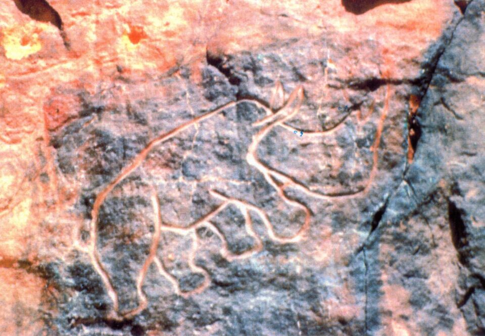 In Habeter rhinoceros (Acacus, Libya)