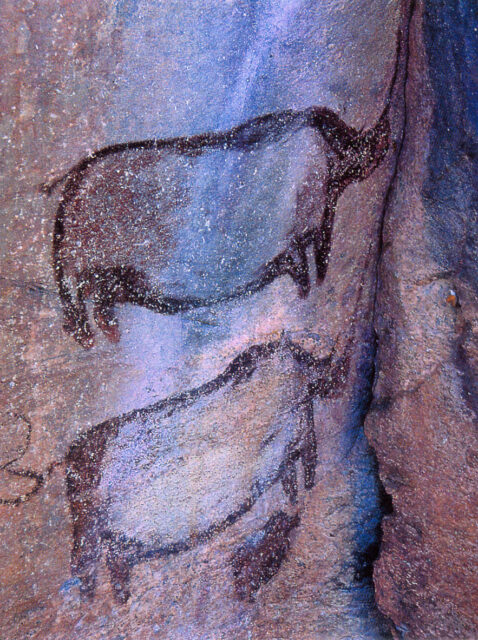 Tsodilo rhinoceroses (Botswana)