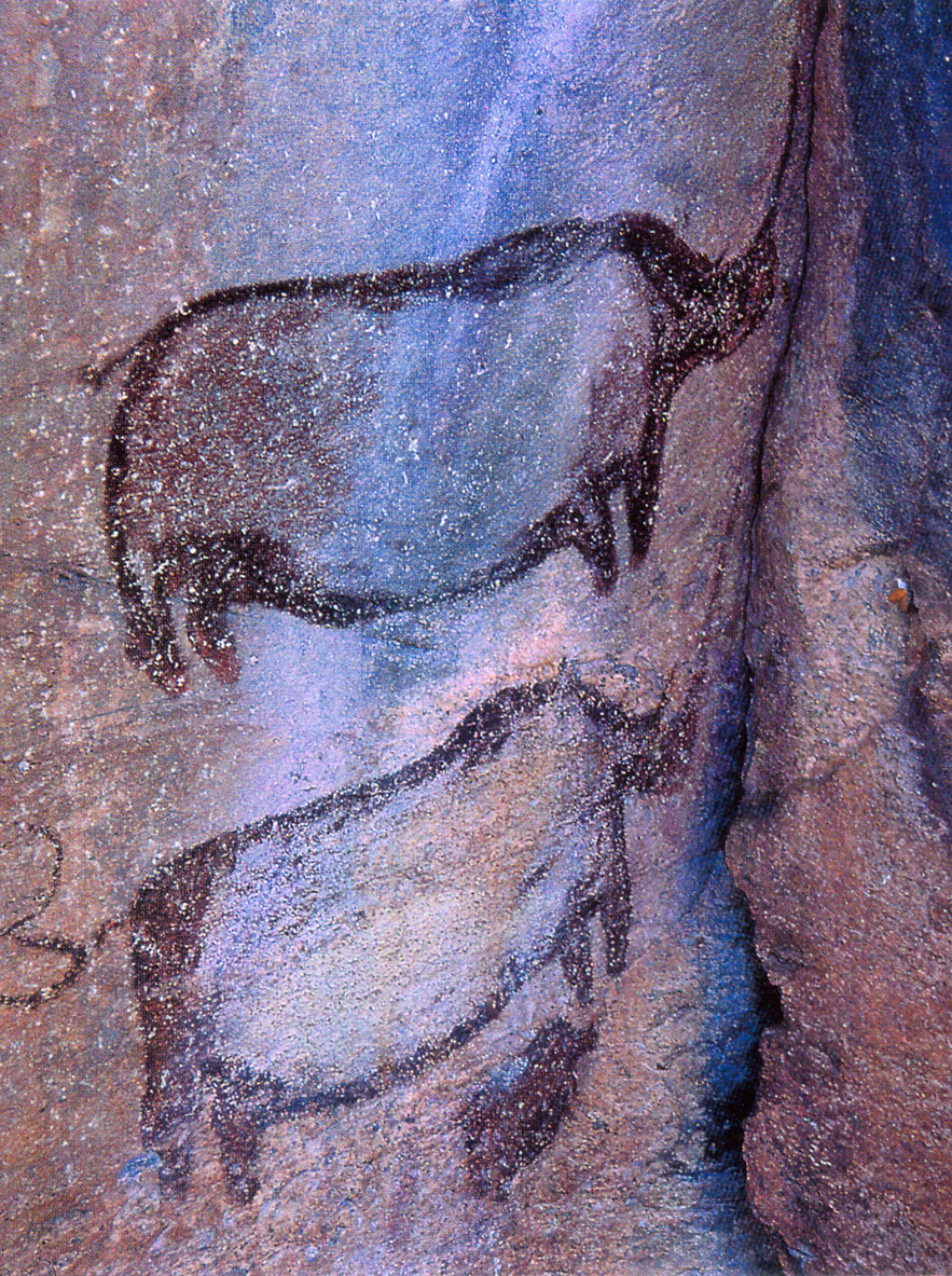 Tsodilo rhinoceroses (Botswana)