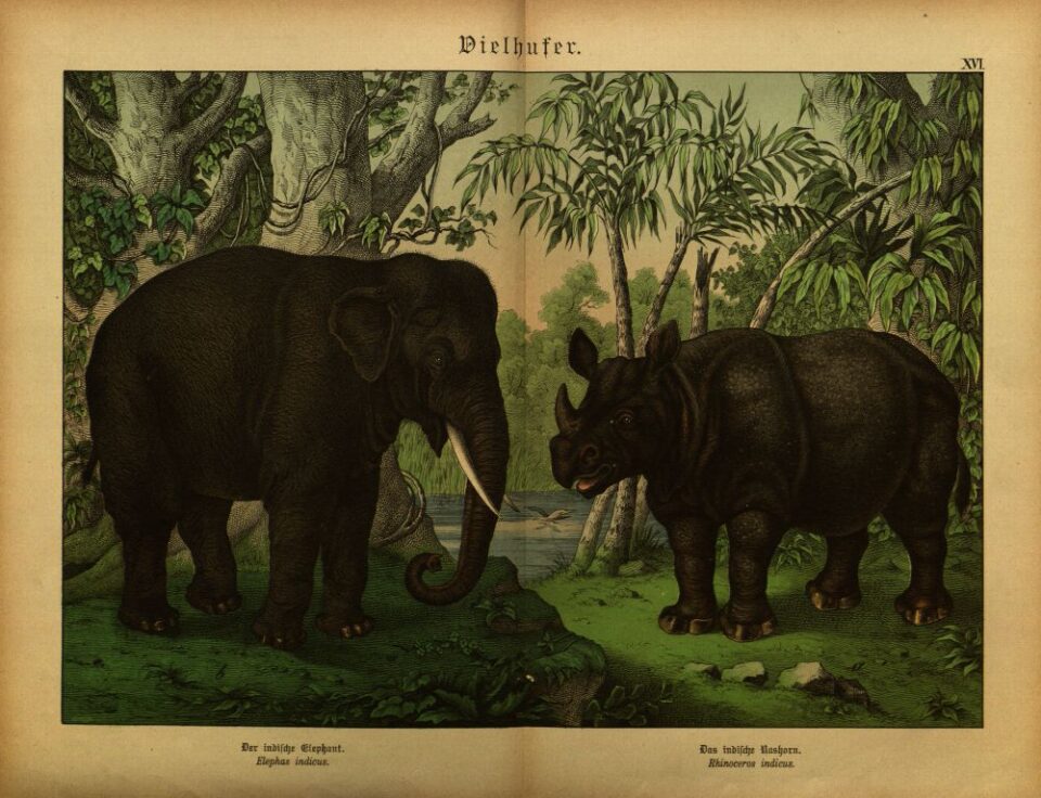 Gotthilf Heinrich von Schubert 1872