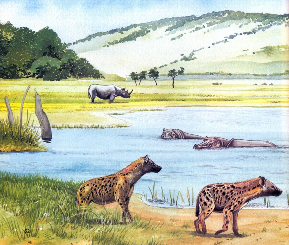 Stephanorhinus hemitoechus (Falconer) on “Campagna Romana” (Latium)