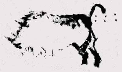 Coelodonta antiquitatis (Blum.), Lascaux cave