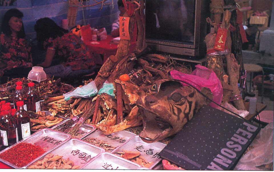 Chinese traders of “traditional pharmacopoeia”