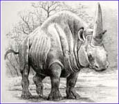 Elasmotherium sibiricum (Fischer) reconstruction