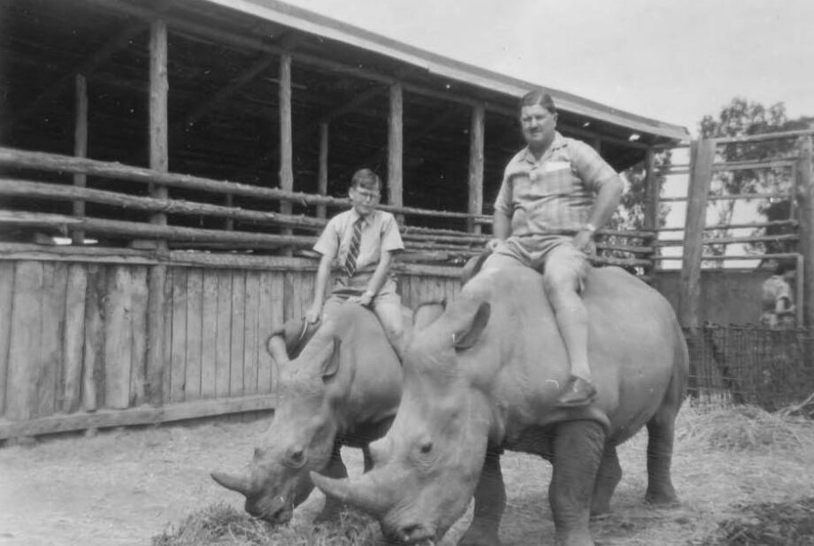 Hartley on white rhino