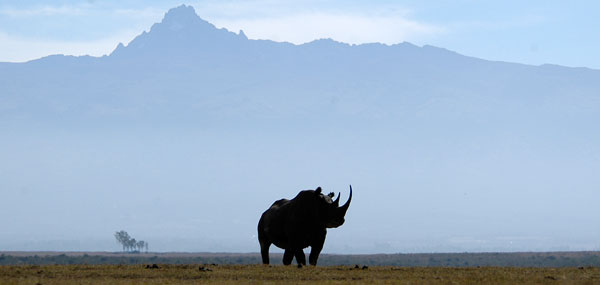 Mt Kenya