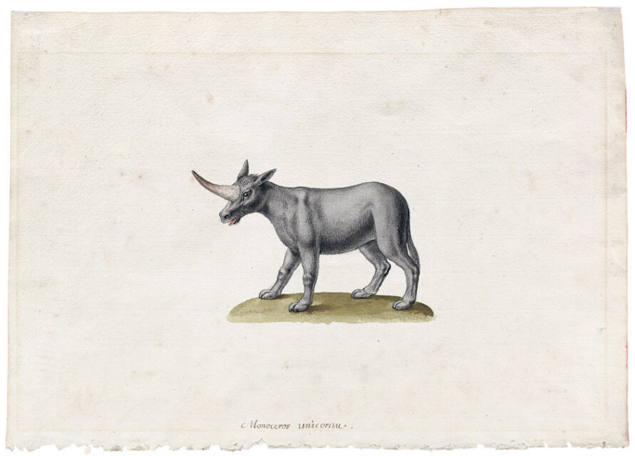 18th century unicorn