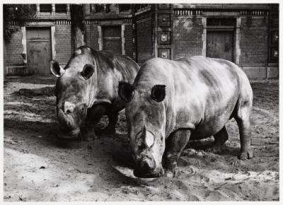 Paul and Chloe in Antwerp