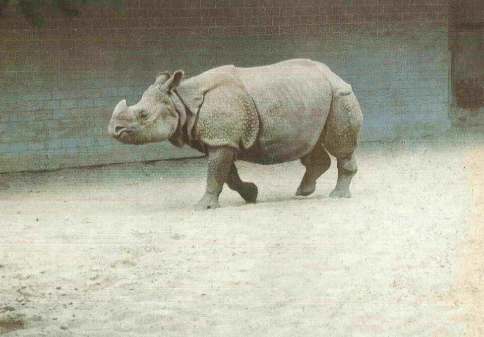 Basel Zoo