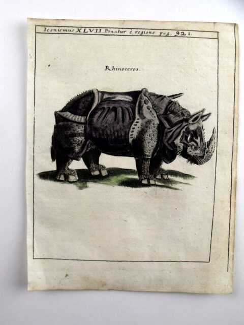 Schott’s Physica Curiosa