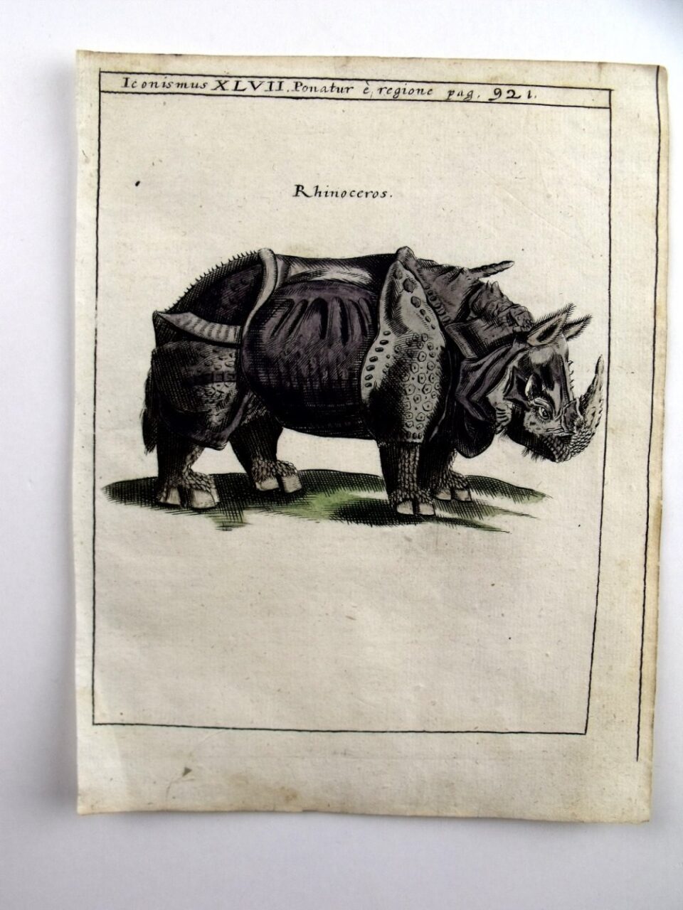 Schott’s Physica Curiosa