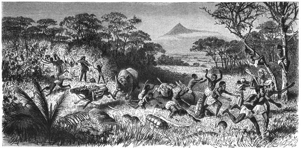 Rhino attacking caravan