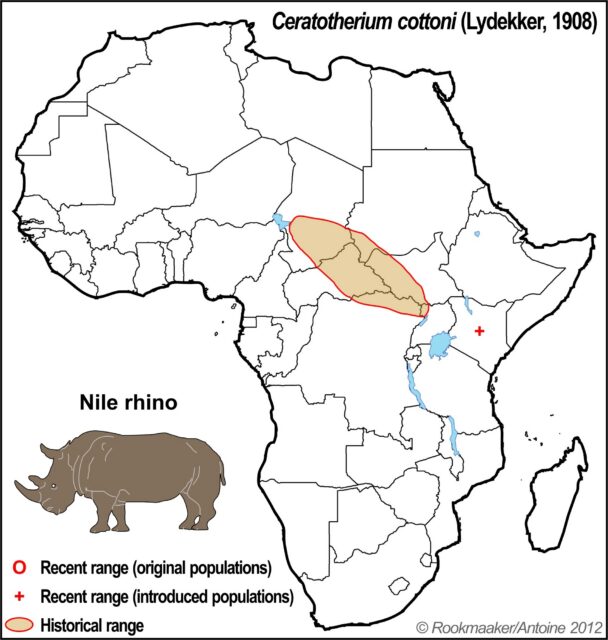 Nile Rhinoceros Range Map