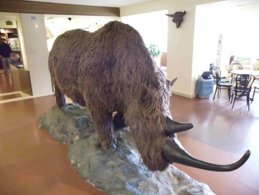 Haus der Natur, Salzburg