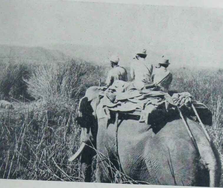 Kaziranga 1950